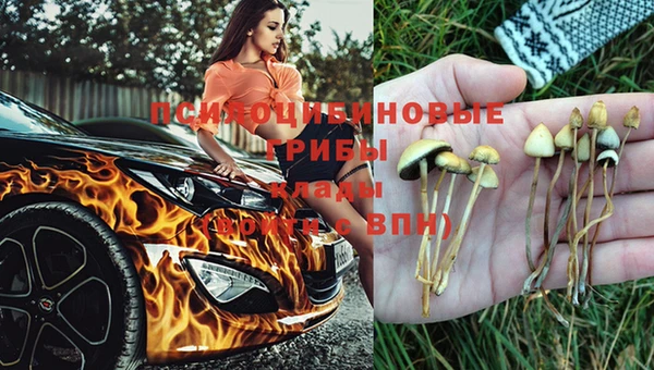 PSILOCYBIN Россошь