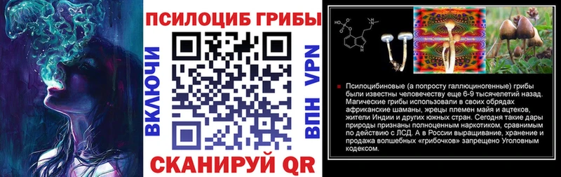 Псилоцибиновые грибы мицелий  KRAKEN маркетплейс  Коммунар 